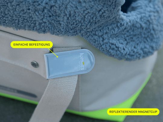 Magnetic Glow Tag im Einsatz – reflektierender Clip an Hundebekleidung für maximale Sichtbarkeit