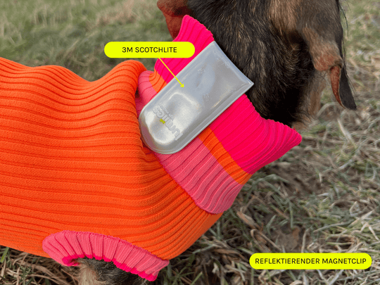 Reflektierender Sicherheitsclip für Hunde – ideal für Herbst, Winter & schlechte Sichtverhältnisse