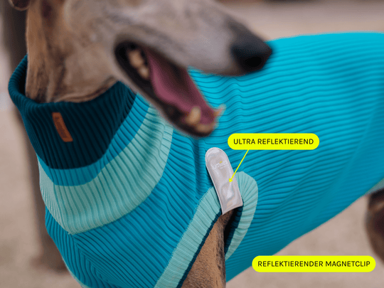 Detailansicht: Magnetischer Hundereflektor mit starker Haftung – leicht, robust & extrem sichtbar
