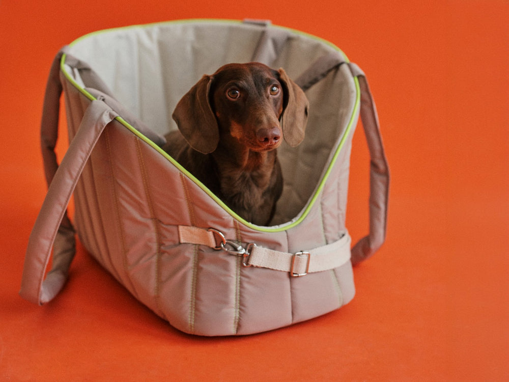 THE SHEILA TRAVEL BED & BAG (mobiles Hundebett) - lumiies - high visibility