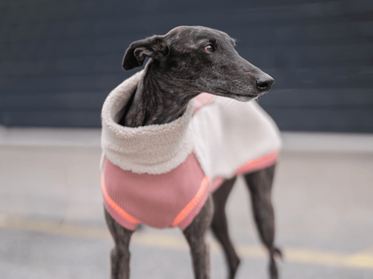 THE SPORT RACER – Sherpa Edition (Tail - Free) - lumiies - high visibility