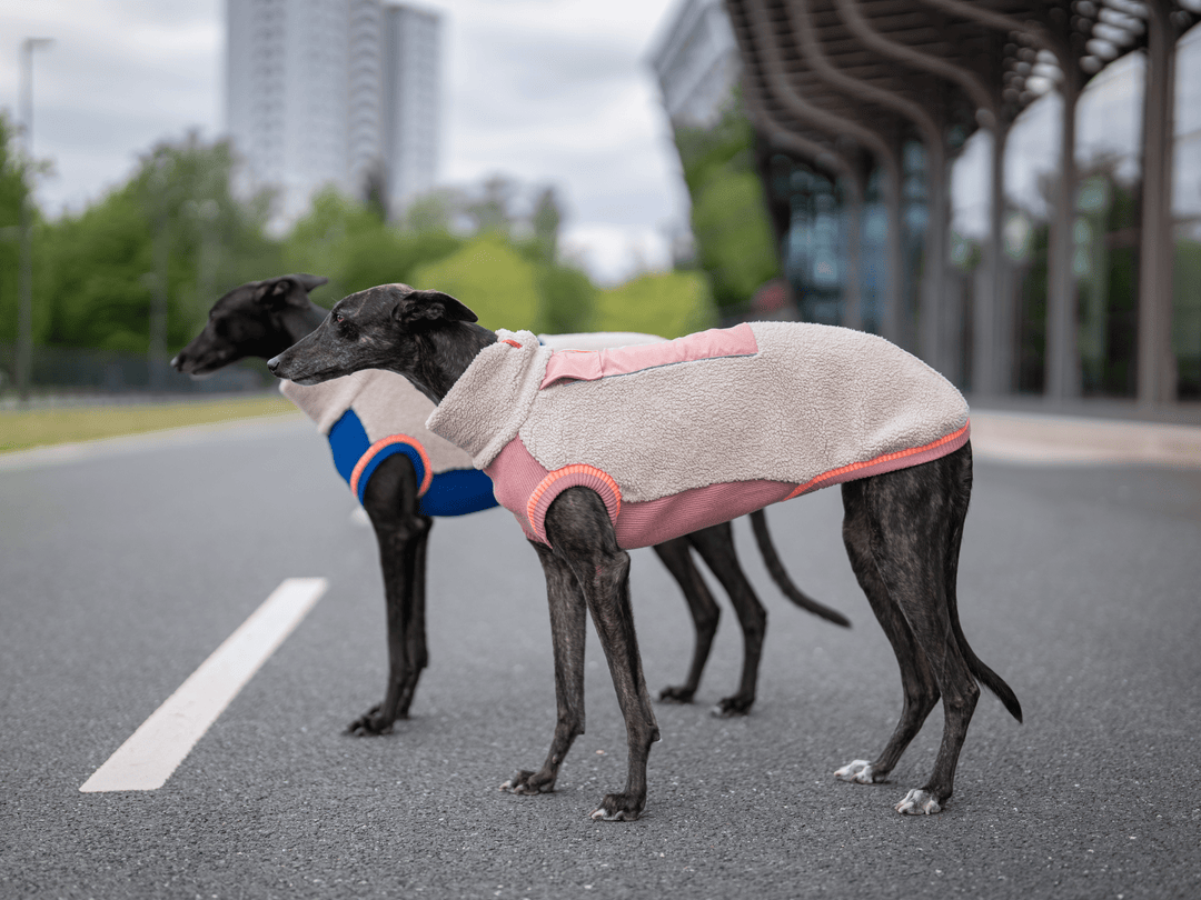 THE SPORT RACER – Sherpa Edition (Tail - Free) - lumiies - high visibility