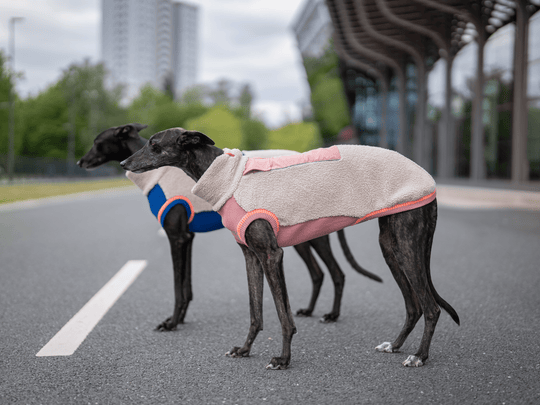 THE SPORT RACER – Sherpa Edition (Tail - Free) - lumiies - high visibility