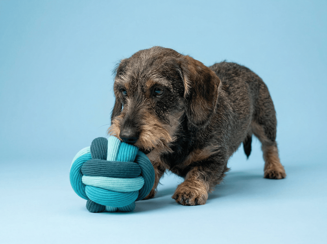 The Twisty Ball – Interaktiver Schnüffelball für Hunde - lumiies - high visibility