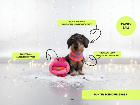 Twisty Ball Schnüffelball mit versteckten Leckerlis für Hunde, perfekt auch für Dackel