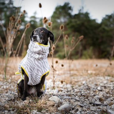 THE ZEBRA BATHROBE (Hundebademantel für alle Hunderassen) - lumiies - high visibility