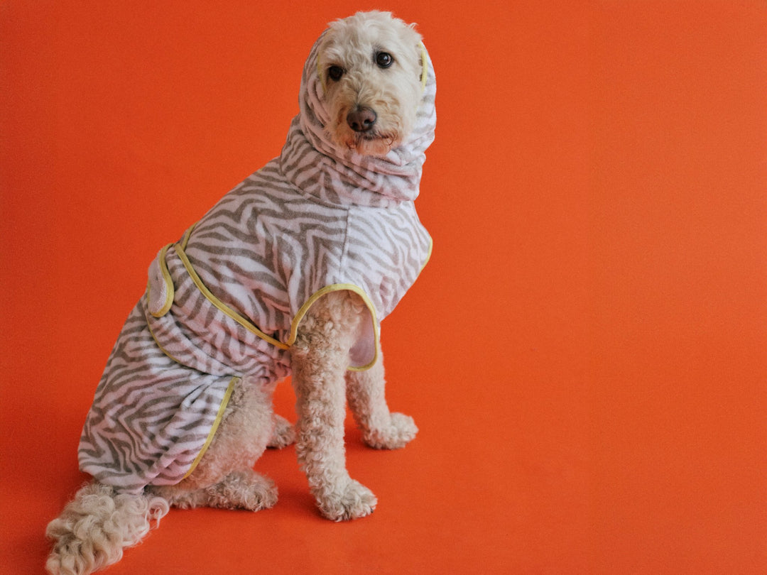 THE ZEBRA BATHROBE (Hundebademantel für alle Hunderassen) - lumiies - high visibility