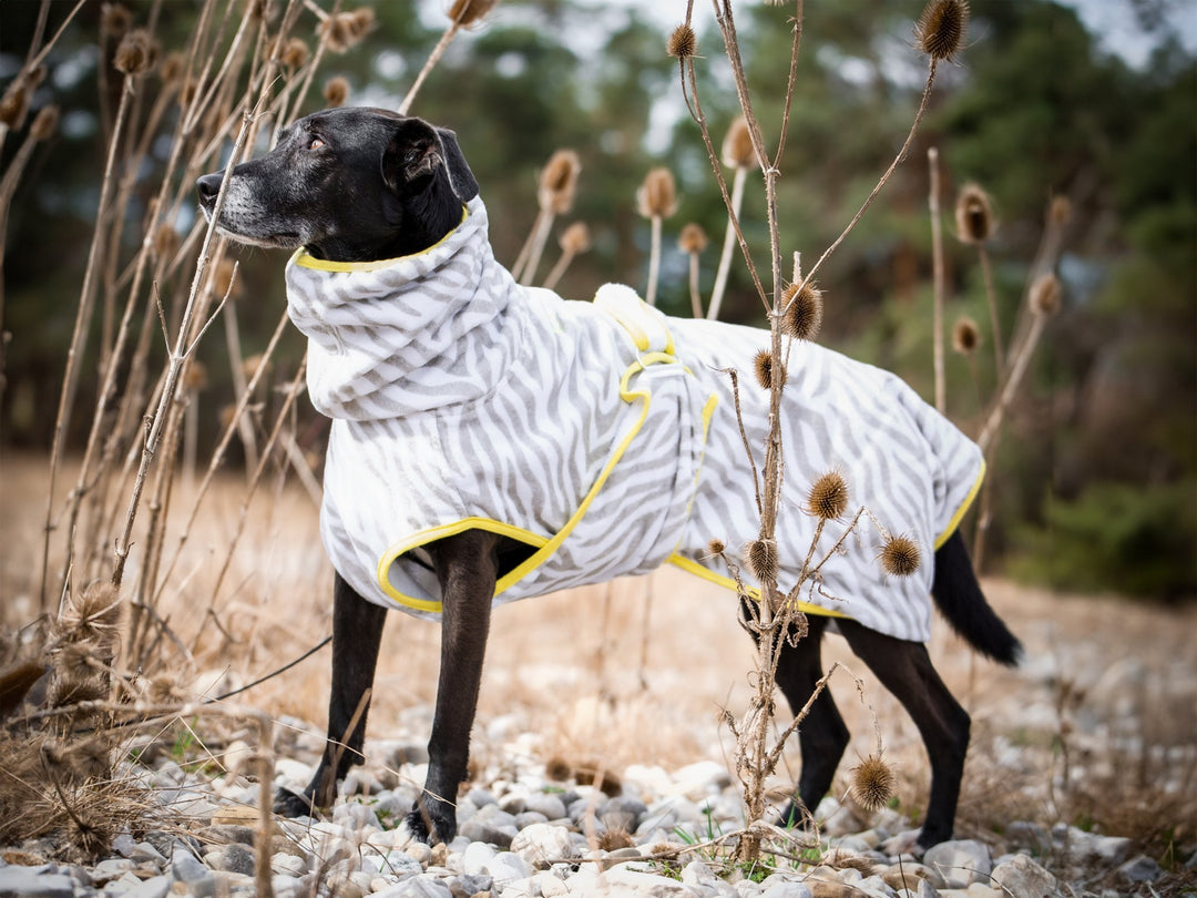 THE ZEBRA BATHROBE (Hundebademantel für alle Hunderassen) - lumiies - high visibility