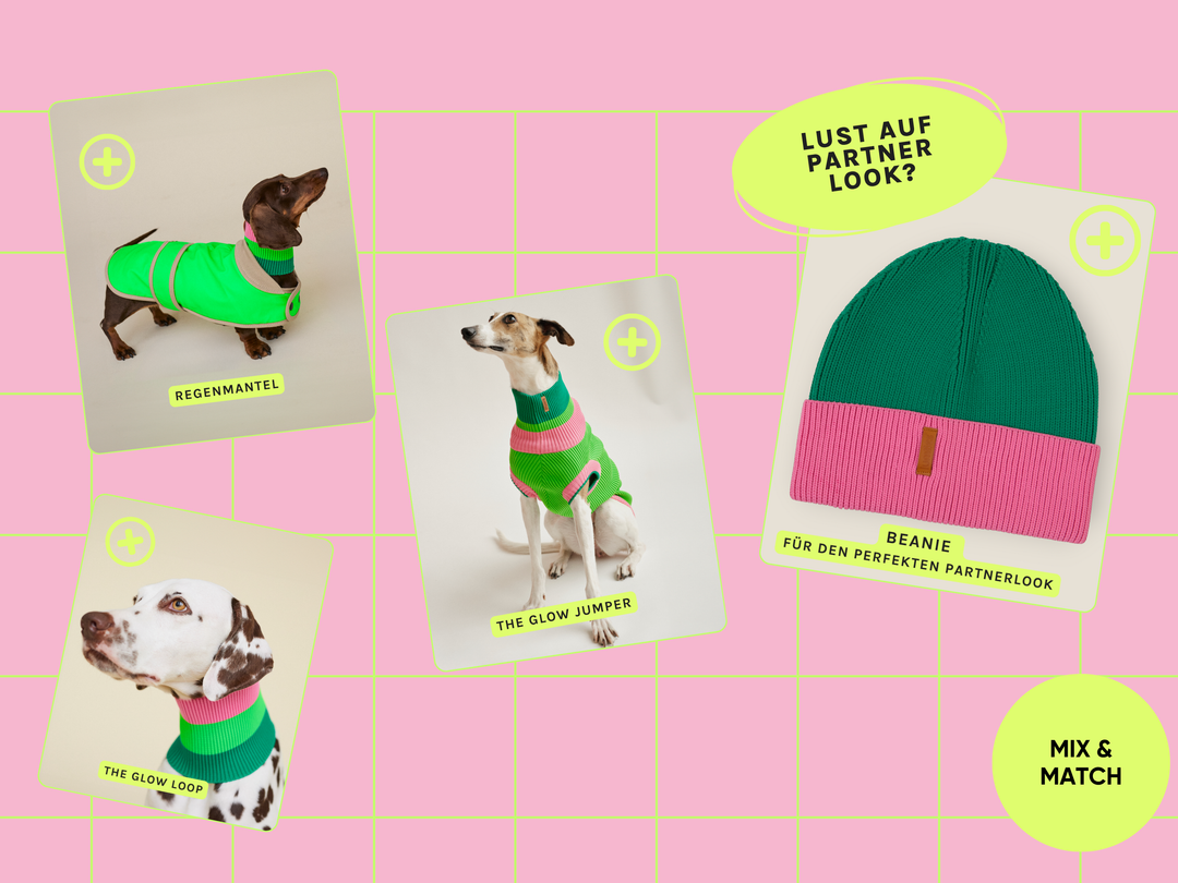 Watermelon Crush Farbkombination